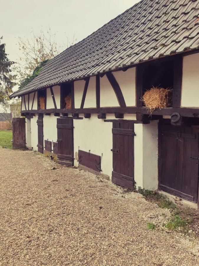 Gite Independant - Bretzel Et Bergamote Richtolsheim Zewnętrze zdjęcie